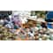 Learning Advantage™ Ready 2 Learn® Naturals Stones and Minerals Kit